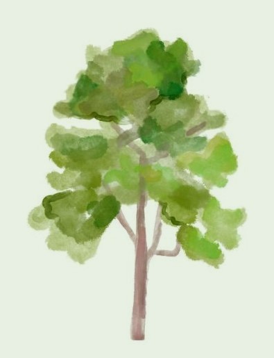 Watercolor illustration of a tree